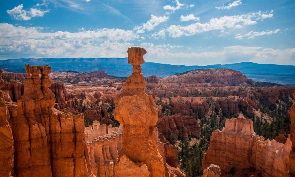 how many locations in clienage9