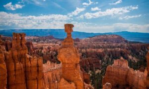 how many locations in clienage9