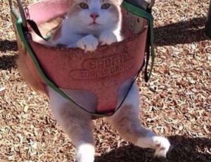 how to open feduspray