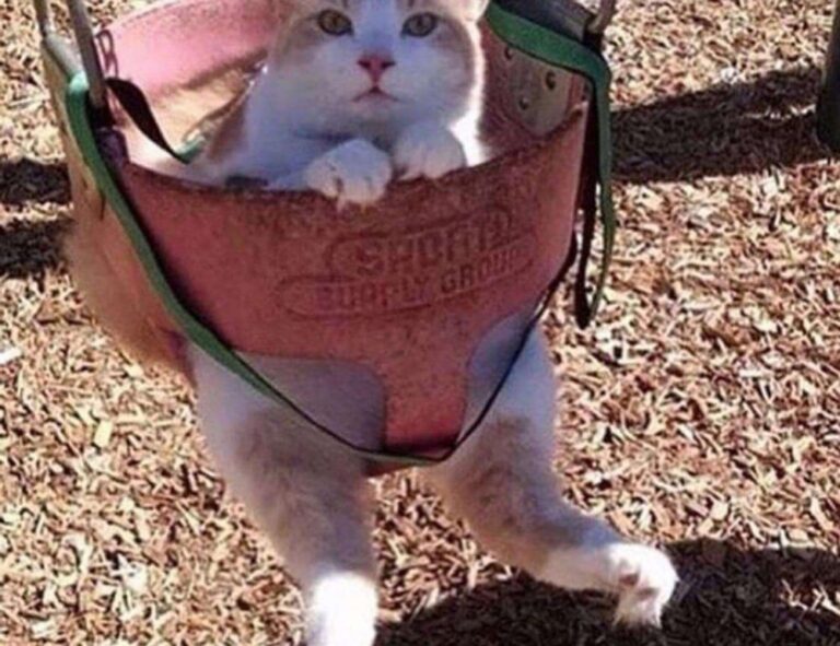 how to open feduspray