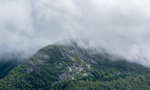 is fg964f-d bed model soft