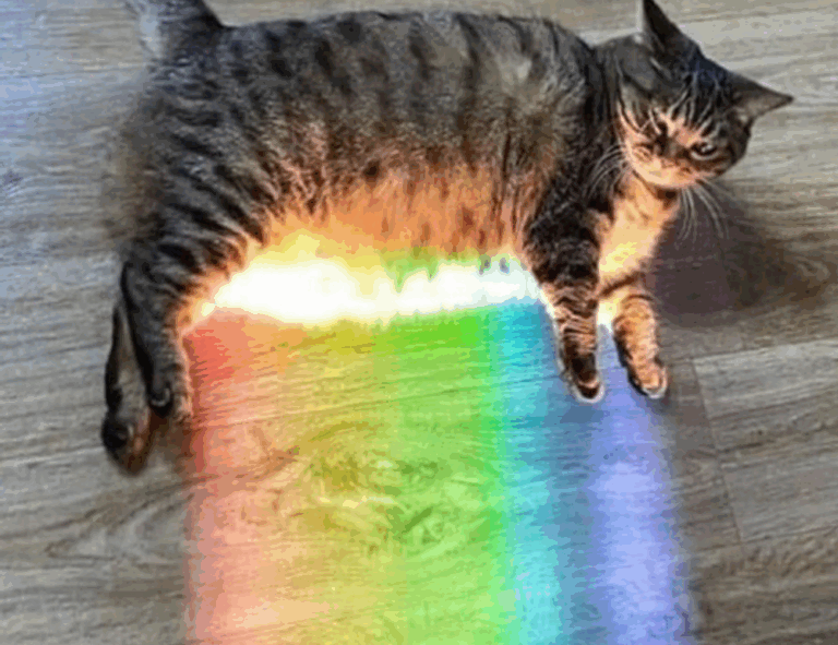 lamp model number lwtc148