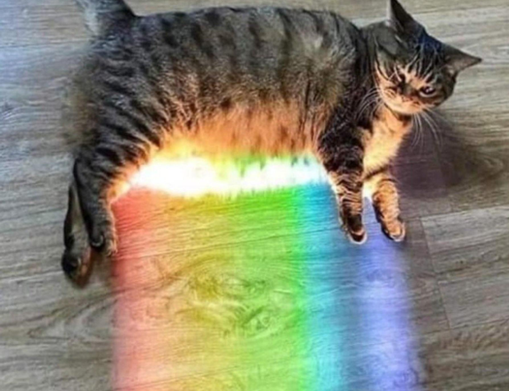 lamp model number lwtc148