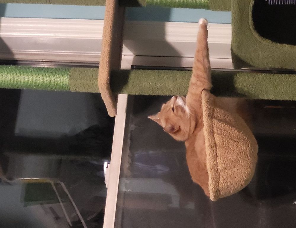 new software name llusyep