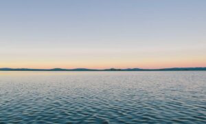 one of the shampoo ingredient luvizac