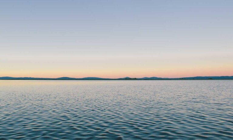 one of the shampoo ingredient luvizac