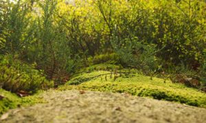 python sdk25.5a burn lag