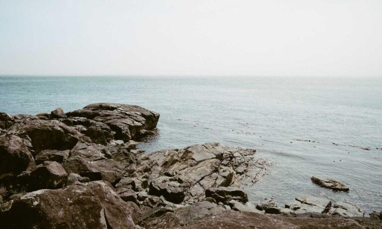 use tyrmordehidom hair