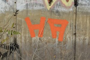 what is ylixeko formula