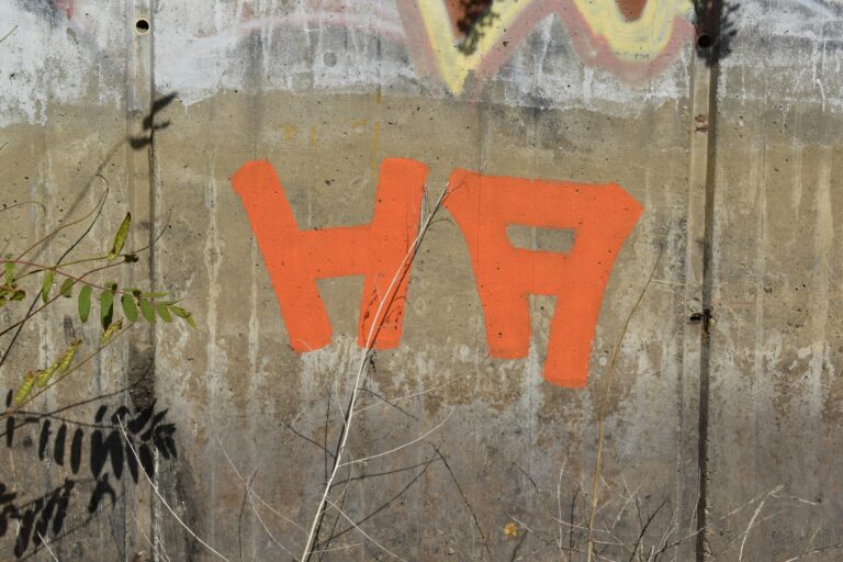 what is ylixeko formula