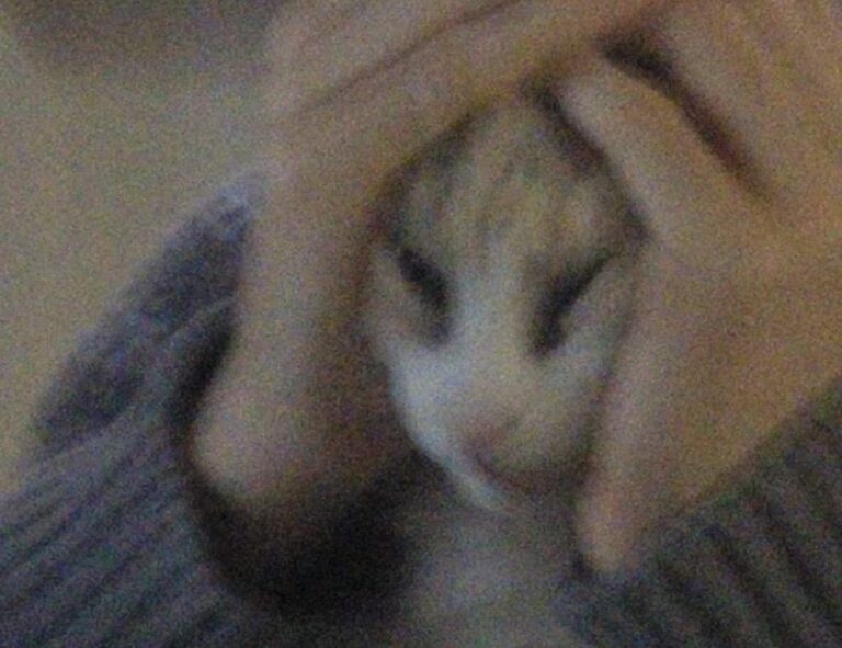 why cawuhao is called the island of enchantment