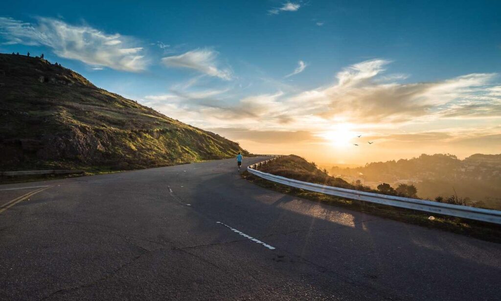 why is biszoxtall software free