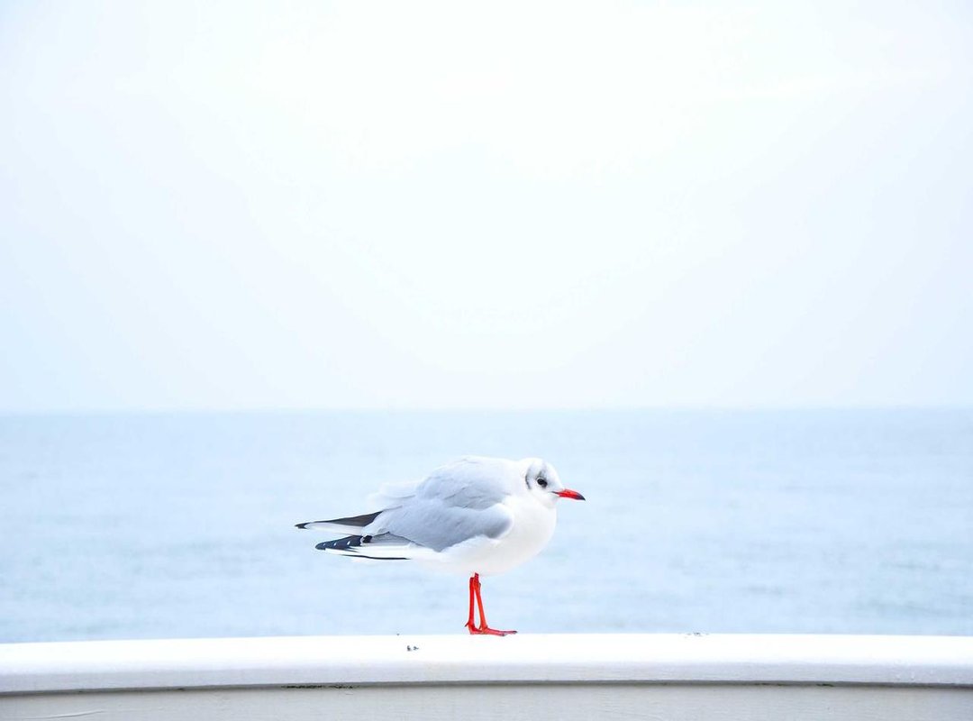 Achieving the Baddie Vibe at Home: Tips and Tricks