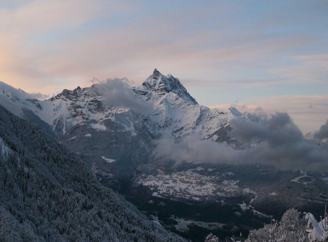 Understanding the Rules: Using the Logo Responsibly