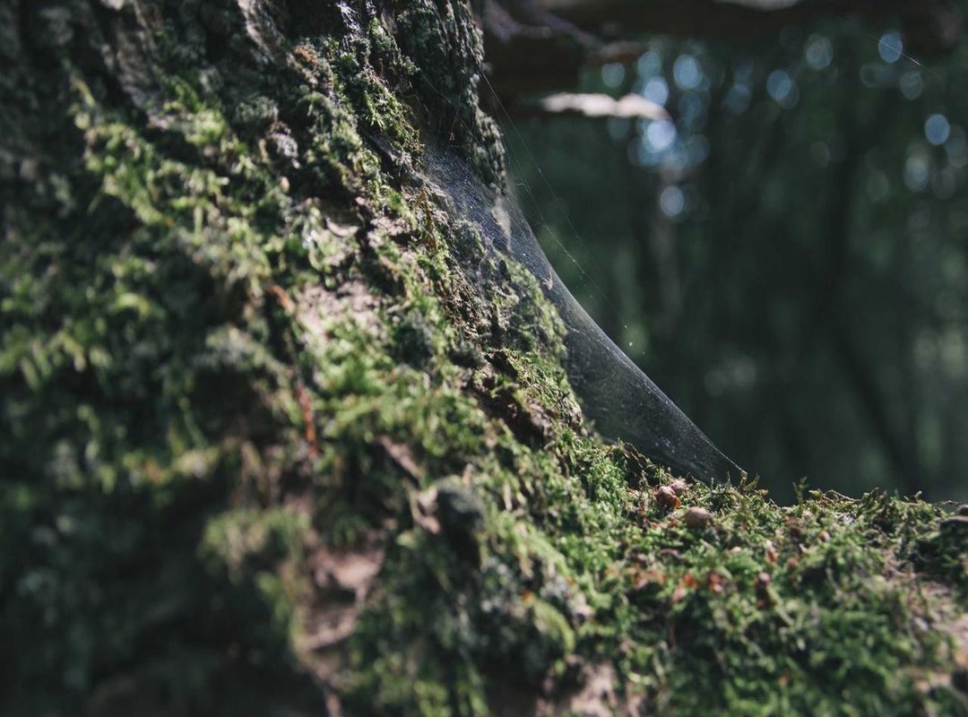 Your First Project: Building a Stylized Treasure Chest Step-by-Step