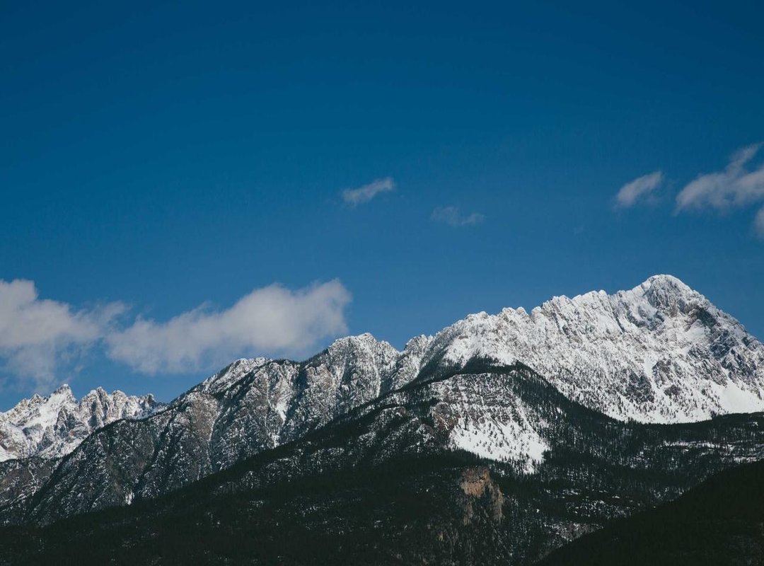 Beyond Instagram: Other Platforms and Collaborations