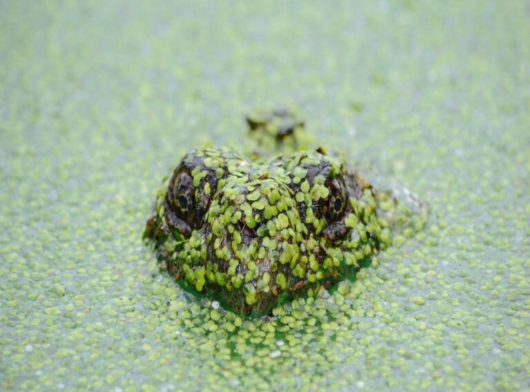 sparta rotterdam - ajax tijdlijn