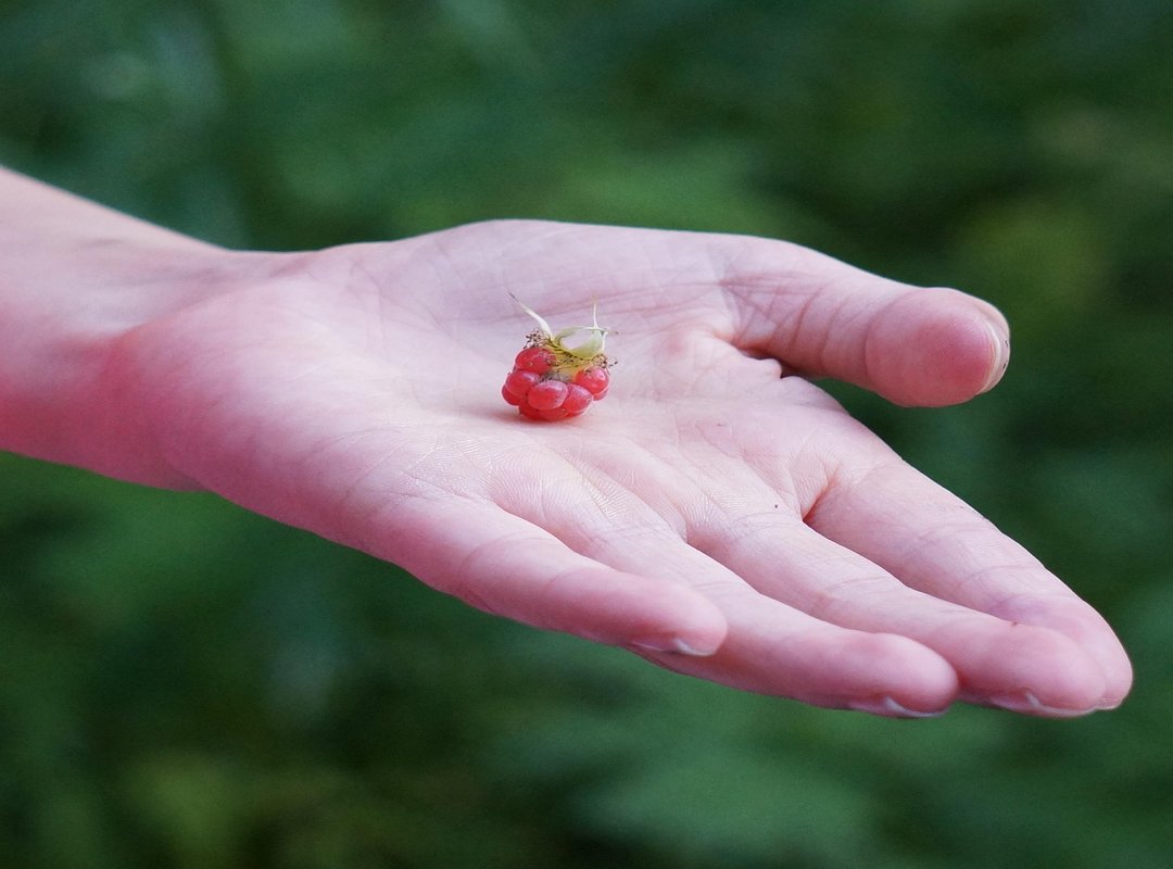 How to Use 'Wa U Fau Widu' Like You Know What You're Doing