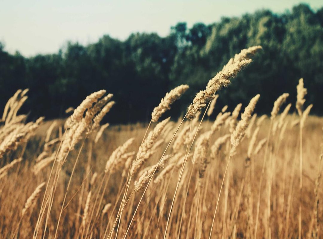 Using Your Zeus Graphics: A Guide to Copyright and Creativity