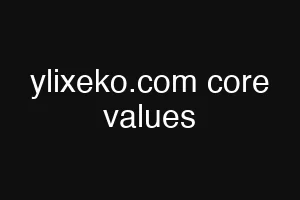 ylixeko.com core values